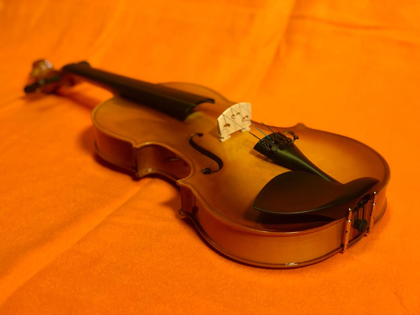 Eastar 4/4 Violin Set Full Size Fiddle Solidwood for Adults with Hard Case, Shoulder Rest, Rosin, Two Bows, Clip-on Tuner and Extra Strings, EVA-330 customer photo 2