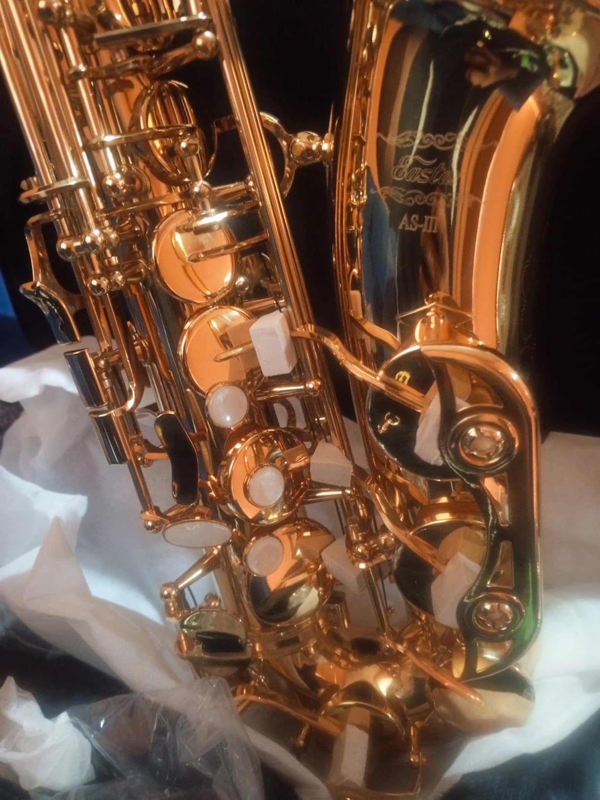 Eastar Tenor Saxophone Beginner Bb Flat Sax, Golden Full Kit, TS-II customer photo 2