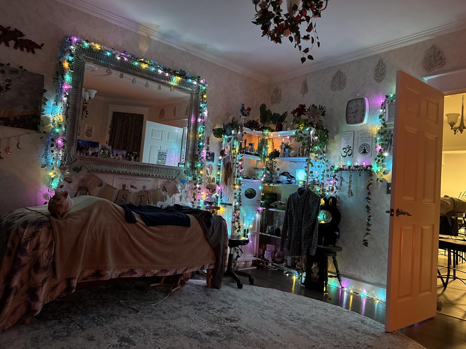 200 LED Connectable String Lights, 66FT Christmas Lights Outdoor Indoor customer photo 1