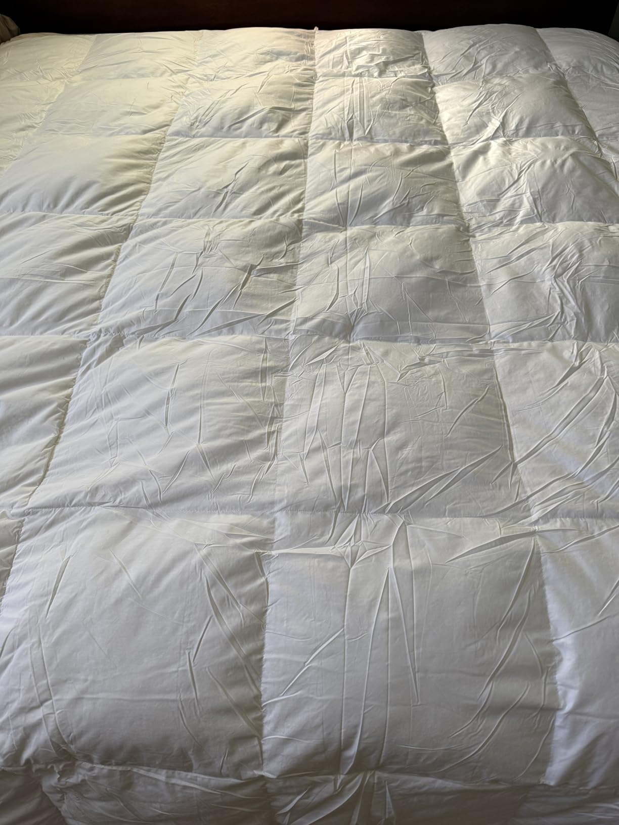 Serta Goose Feather Down Fiber Comforter Queen Size - 100% Cotton Cover Duvet Insert - Hotel Luxury Hypoallergenic Bedding Comforter Extra Warmth 90 x 90 Inch White customer photo 2