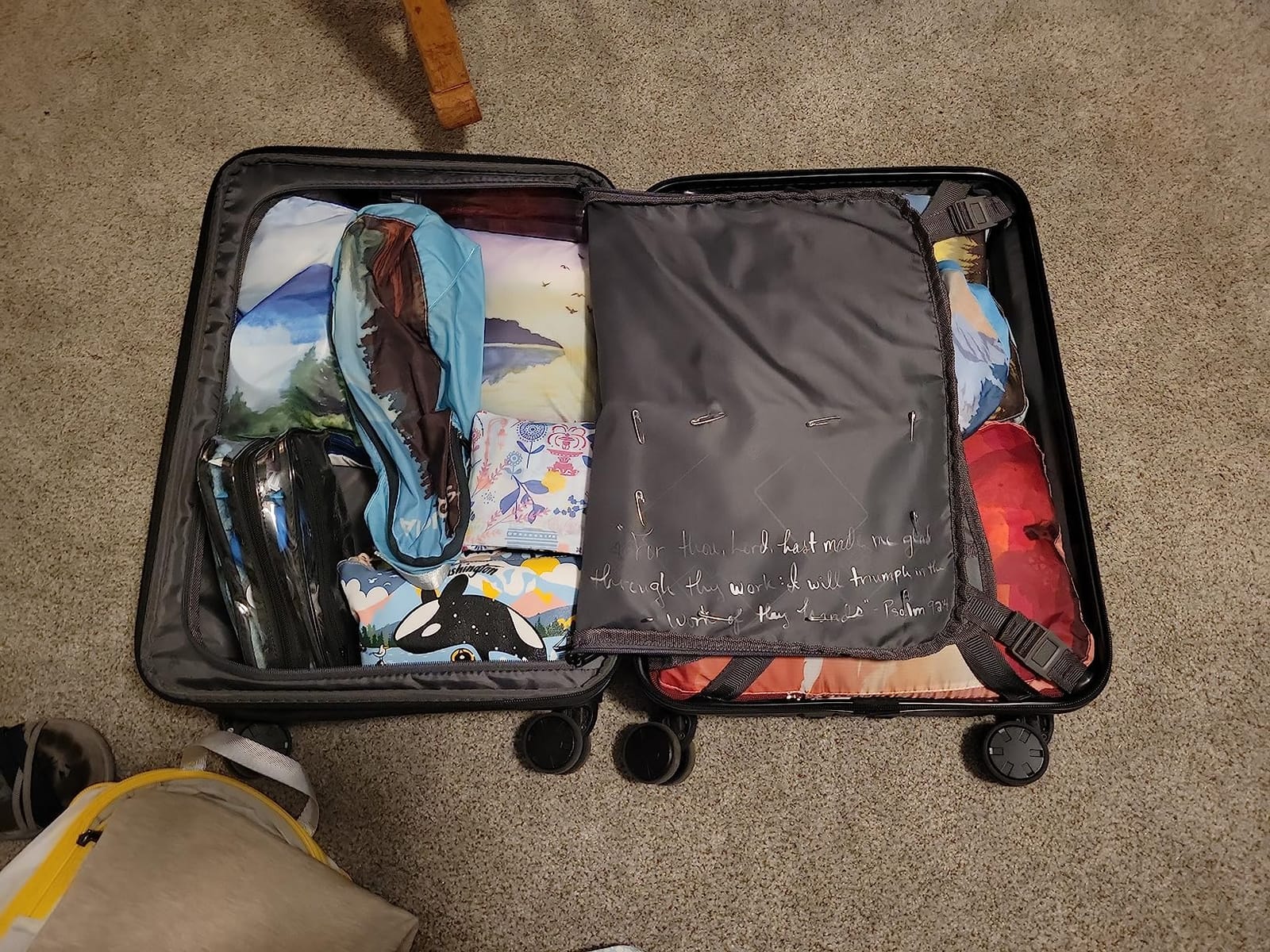 LEVEL8 Carry on Luggage Airline Approved, 20“ Expandable Carry on Suitcase customer photo 1