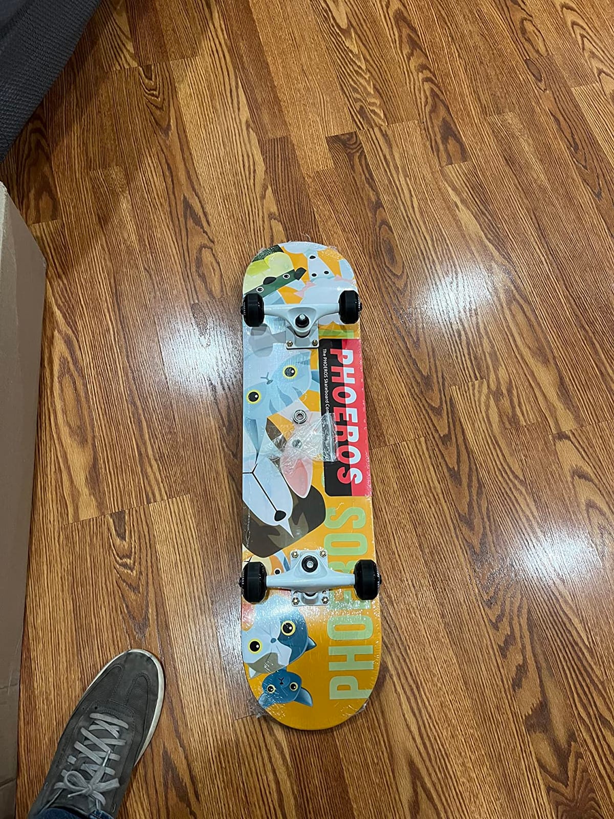 PHOEROS Complete Skateboards- Standard Skateboards for Beginners Kids Boys Girls Teenager- 31''x 8''Canadian Maple Cruiser Pro Skate Board, Skateboards customer photo 1