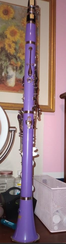 Bb Clarinet 17 Keys Flat B Clarinet for Beginners & Students Black | with Case,Stand,Strap,2 Barrels,8 Mouthpiece Cushion and White Gloves customer photo 2