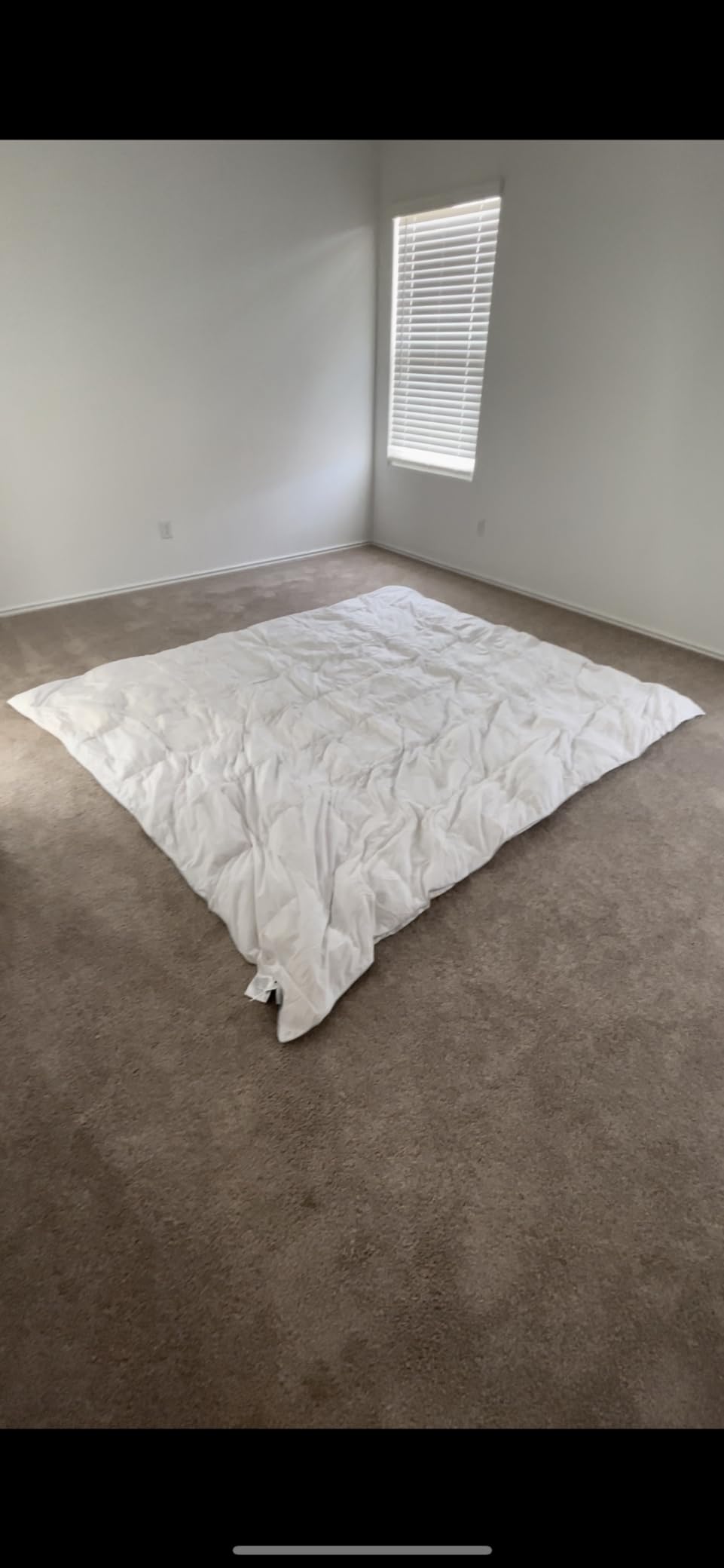 Alanzimo Goose Down Feather Fiber Comforter King Size, 100% 1200tc Cotton Fabric Duvet Inserts, 750+Fill Power Hotel Collection All Season White Bedding Comforters with 8 Tabs customer photo 2