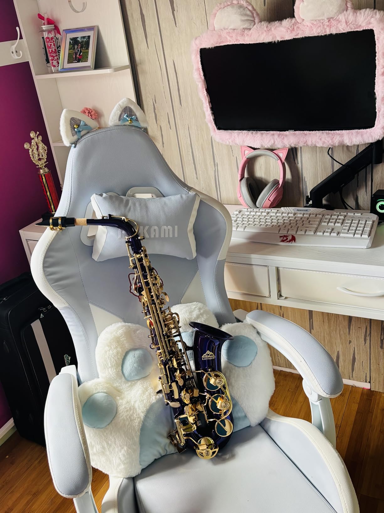 EASTROCK Alto Saxophone Nickel E Flat Sax Full Kit for Students Beginner with Carrying Case,Mouthpiece,Mouthpiece Cushion Pads,Cleaning Cloth&Cleaning Rod,White Gloves,Neck Strap customer photo 1