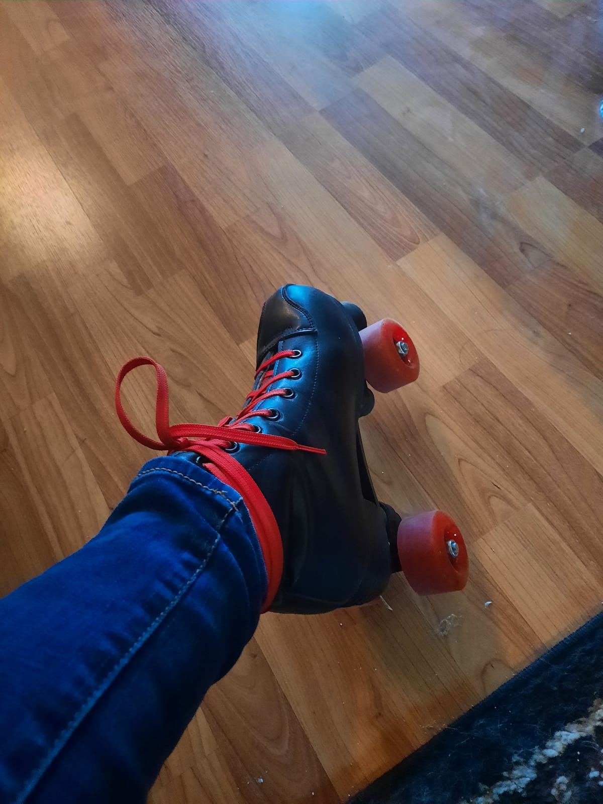 YYW Roller Skates for Women Men, High Top PU Leather Classic Double-Row Roller Skates, Indoor Outdoor Roller Skates for Beginner a Shoes Bag customer photo 1