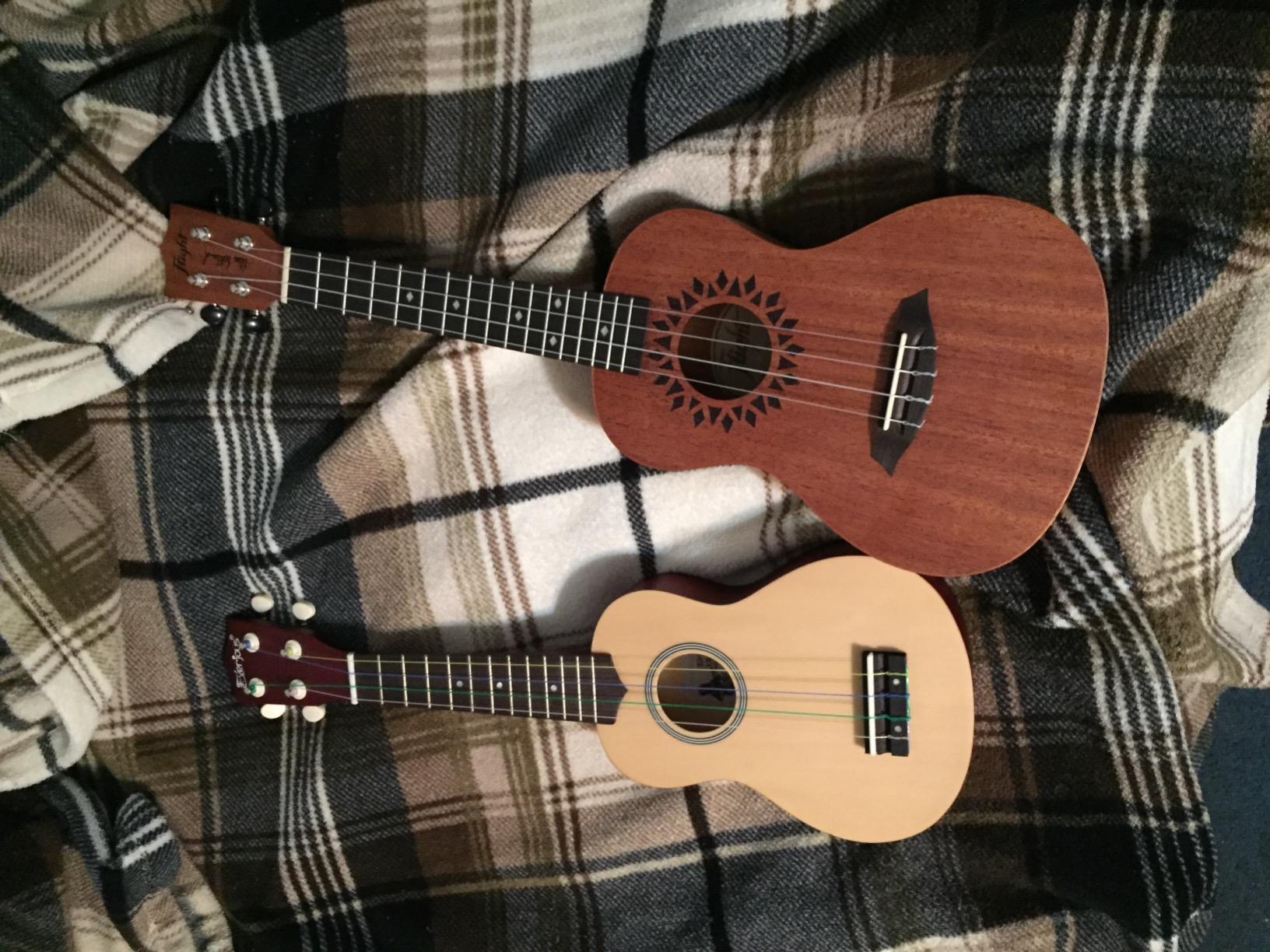 Everjoys Concert Ukulele 23 inch Mahogany Ukelele Beginner Kit w/Free Online Lesson Case Strap Tuner Picks, Fast to Learn customer photo 2