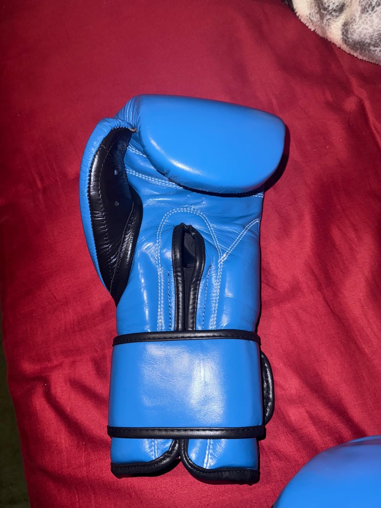 CLETO REYES Training Boxing Gloves with Hook and Loop Closure for Sparring and Heavy Punching Bags, Men and Women, MMA, Kickboxing, Muay Thai customer photo 1