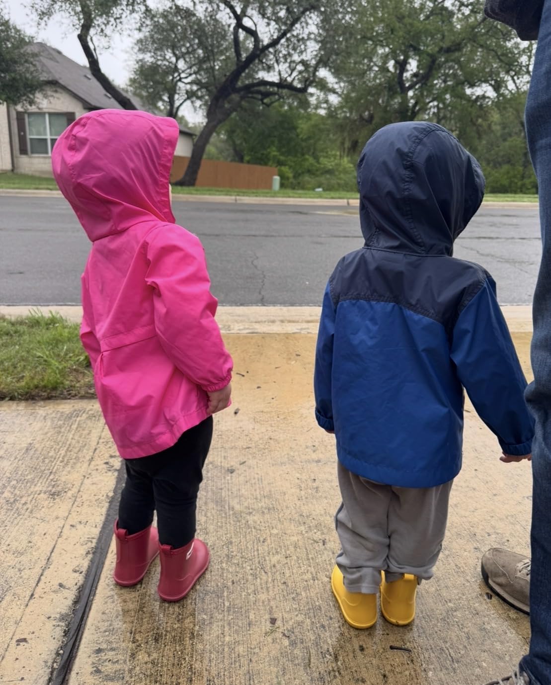 Tree Grandpa Toddler Rain Boots Waterproof shoes for Boys Girls Lightweight customer photo 1