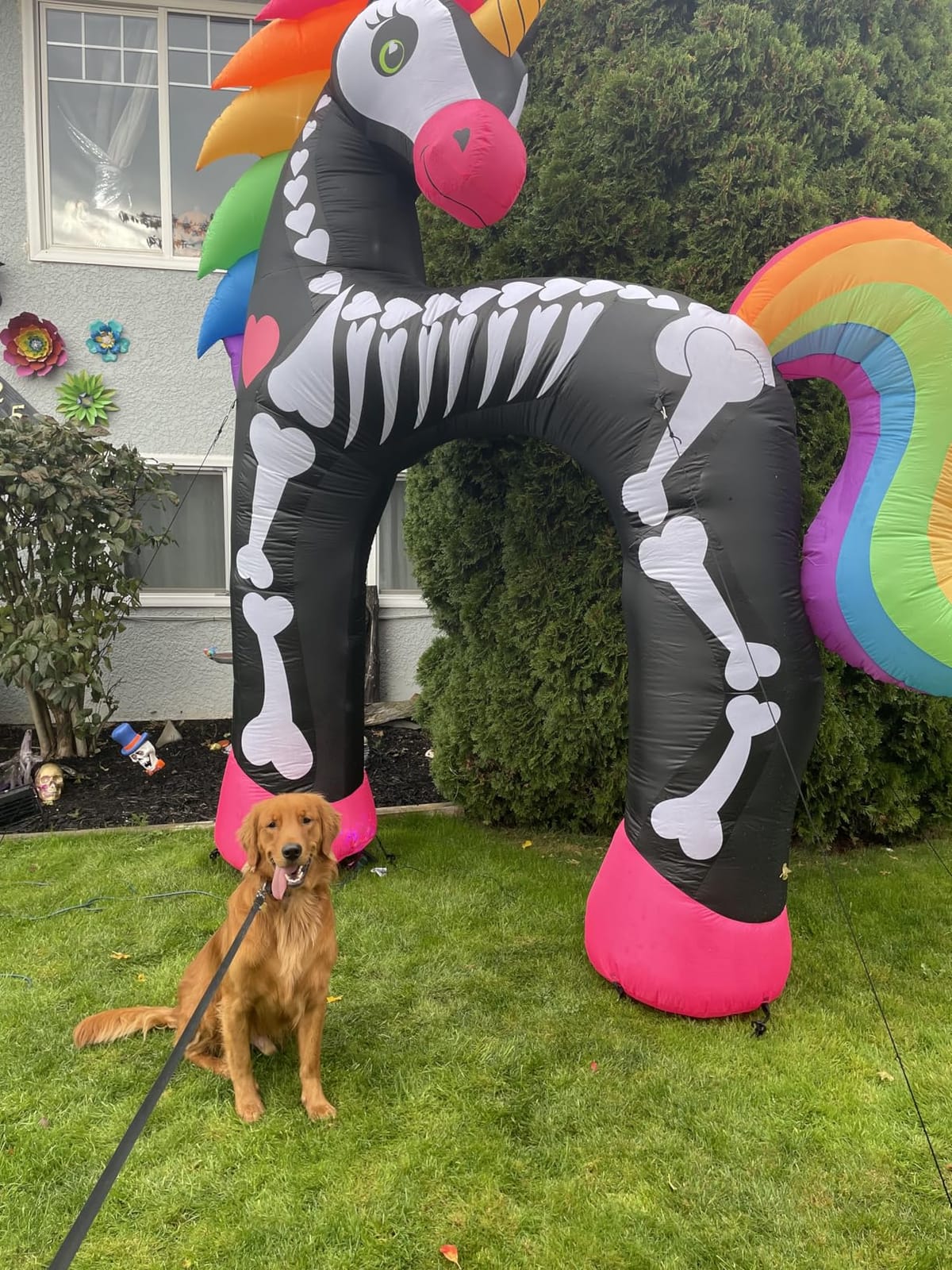 11FT Giant Halloween Inflatables Arch, Rainbow Skeleton Unicorn Decoration customer photo 2