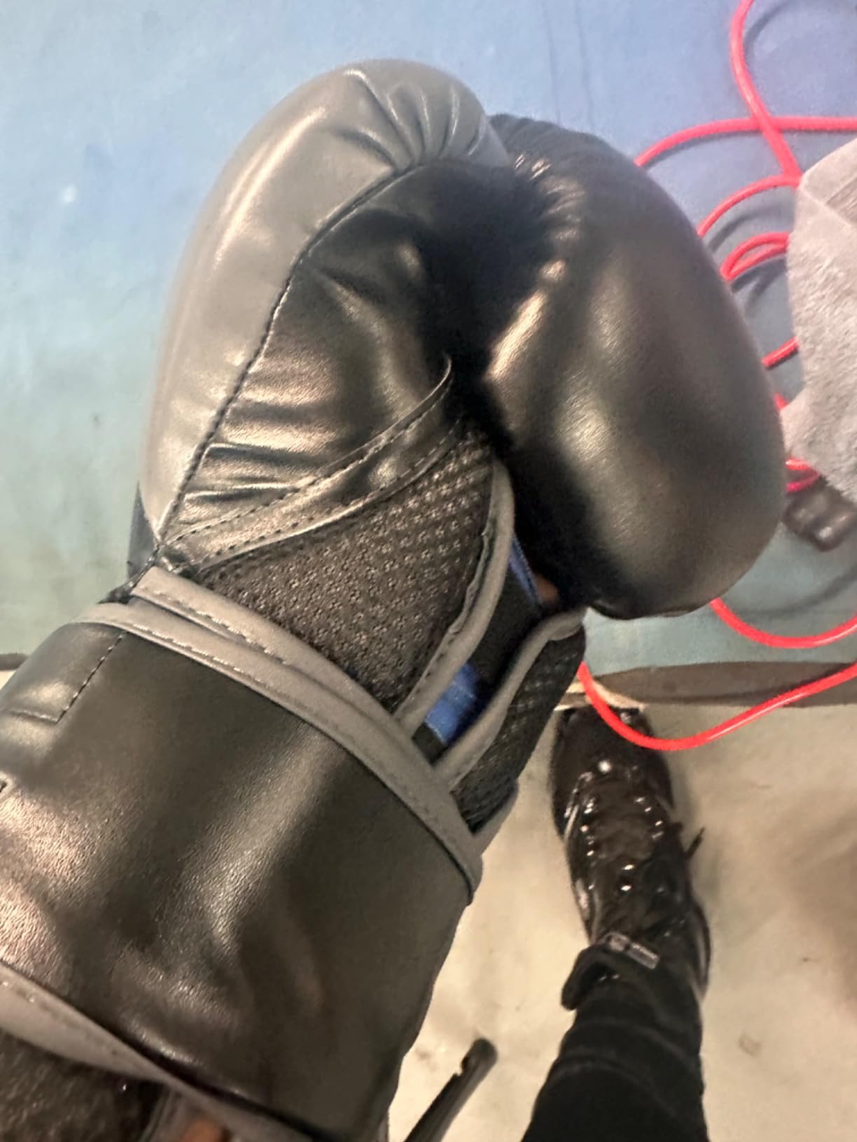 Everlast Powerlock 2 Hook & Loop Boxing Gloves | Fight Training Gloves | Hook and Loop with Durable Hand & Wrist Support | Heavy Bag & Fitness Training customer photo 2