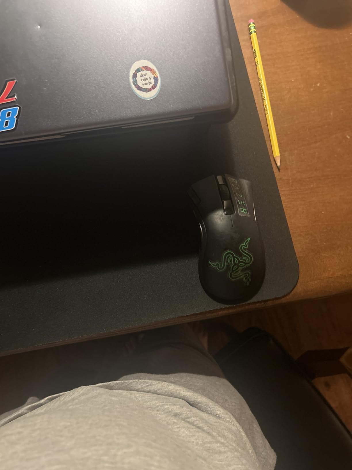 Razer DeathAdder V2 X HyperSpeed, Award-Winning Ergonomic Design, Black customer photo 1