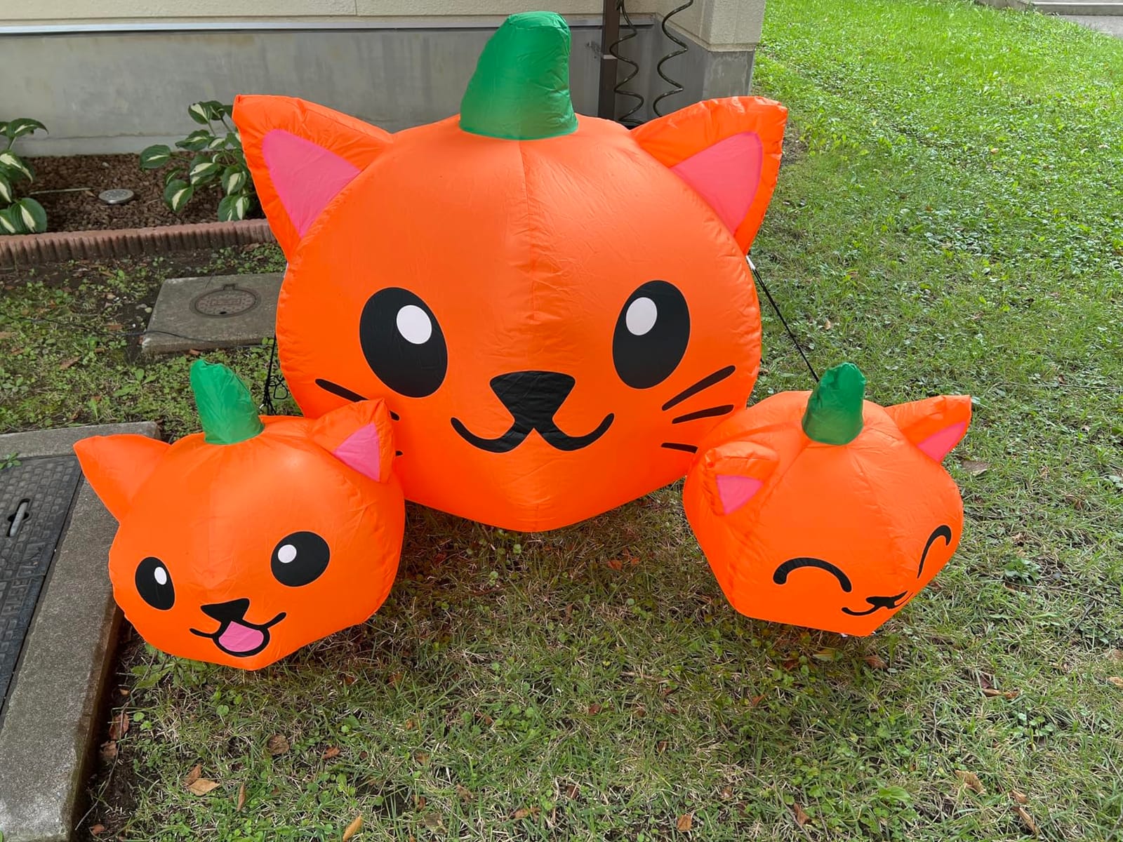 COMIN Halloween Inflatable 5FT Long Three Pumpkin Cat Head Combo with Built-in LEDs, Blow Up Yard Decoration for Holiday Party Indoor, Outdoor, Yard, Garden, Lawn customer photo 1