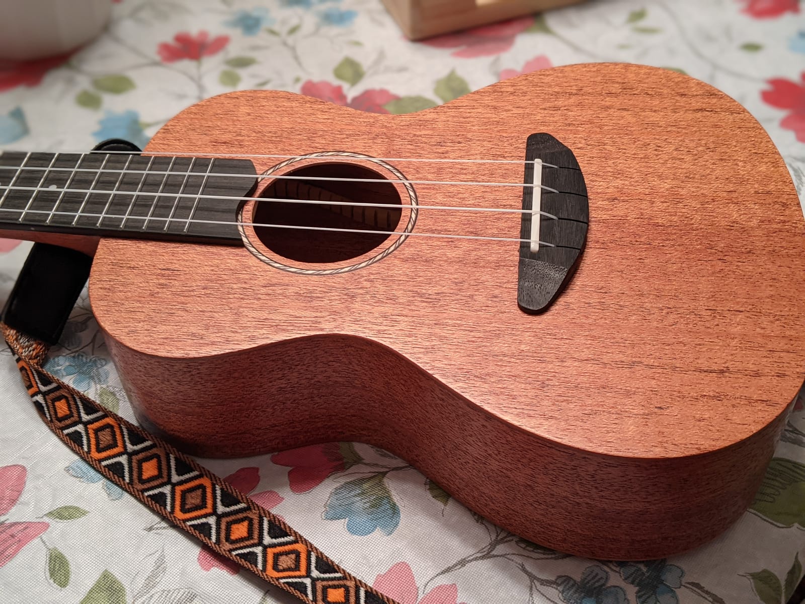 Donner Soprano Ukulele Mahogany 21 inch Ukelele Beginner Kit Online Lesson Gig Bag Strap Nylon String Tuner Picks Cloth DUS-1 Ukalalee Set Christmas Gift customer photo 1