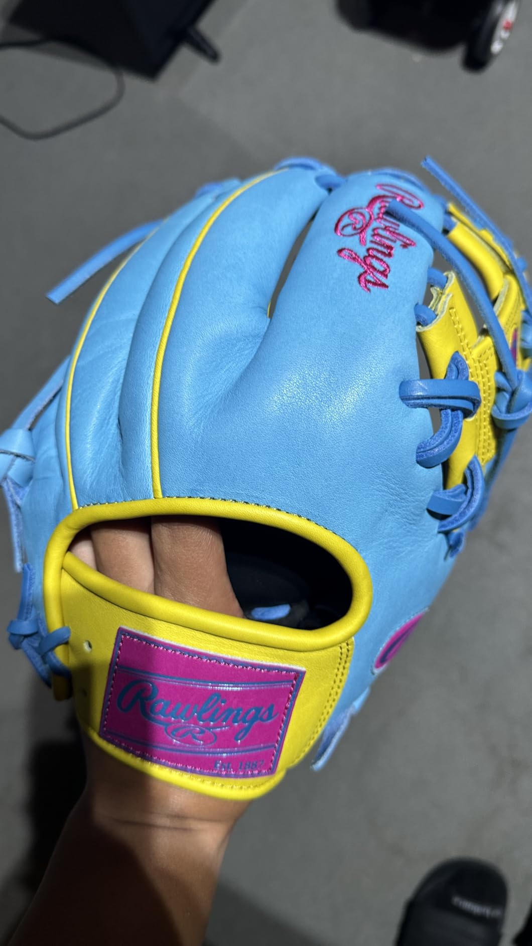 2026 Heart of the Hide Baseball Gloves | Top-Grade US Steerhide customer photo 2
