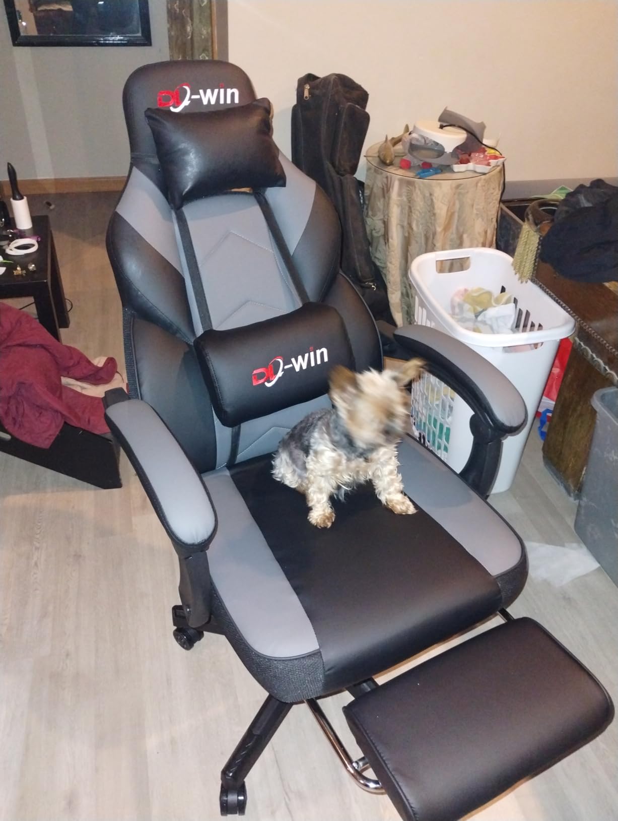 DL-win Gaming Chairs for Adults, Computer Chair with Footrest and High Back, Big and Tall Gamer Chair's with Massage Lumbar Support, 360° Swivel Height Adjustable Gaming Chair, Grey customer photo 1