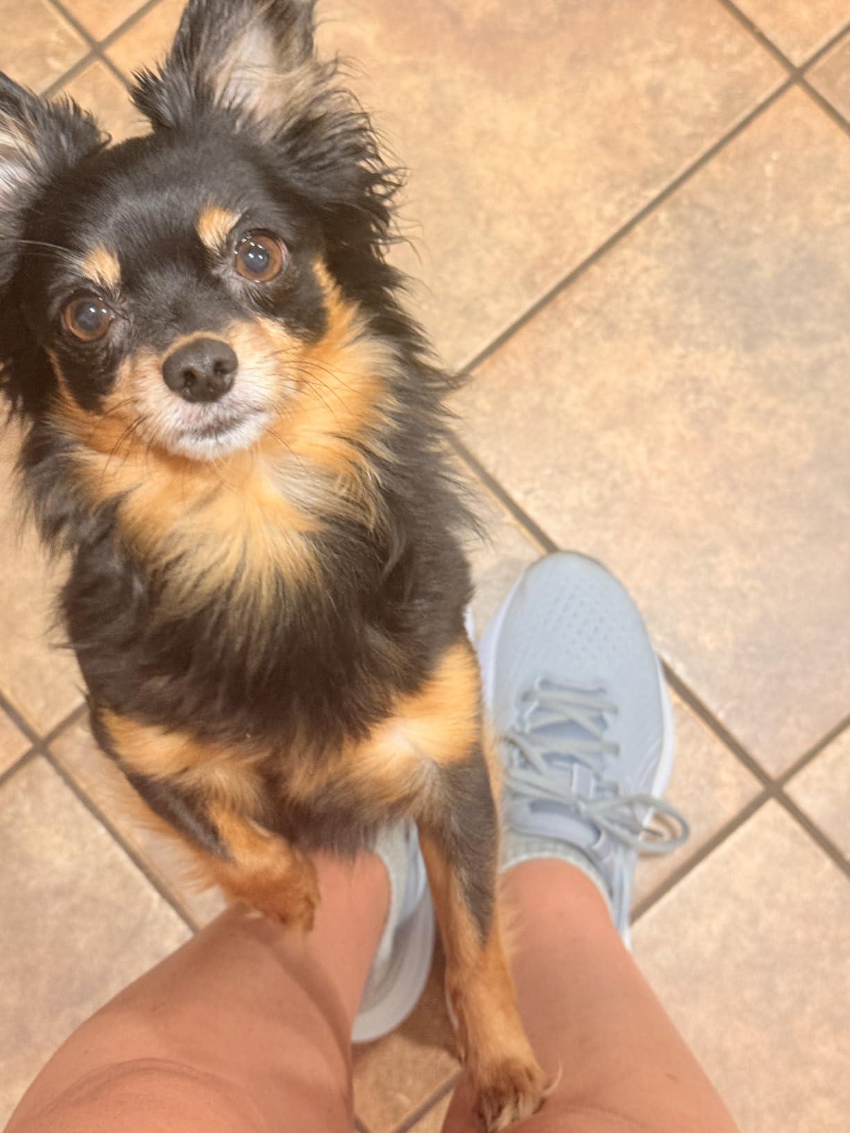 ASICS Women's Gel-Excite 11 Running Shoes customer photo 1
