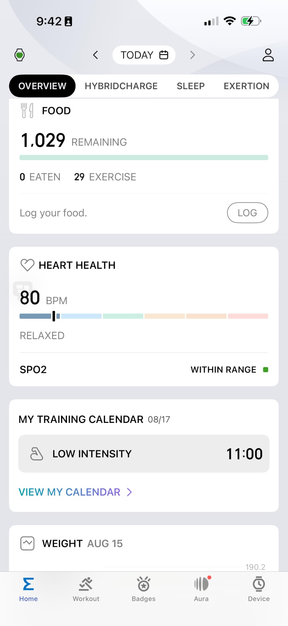 Amazfit Active 2 Premium Smart Watch 1.32