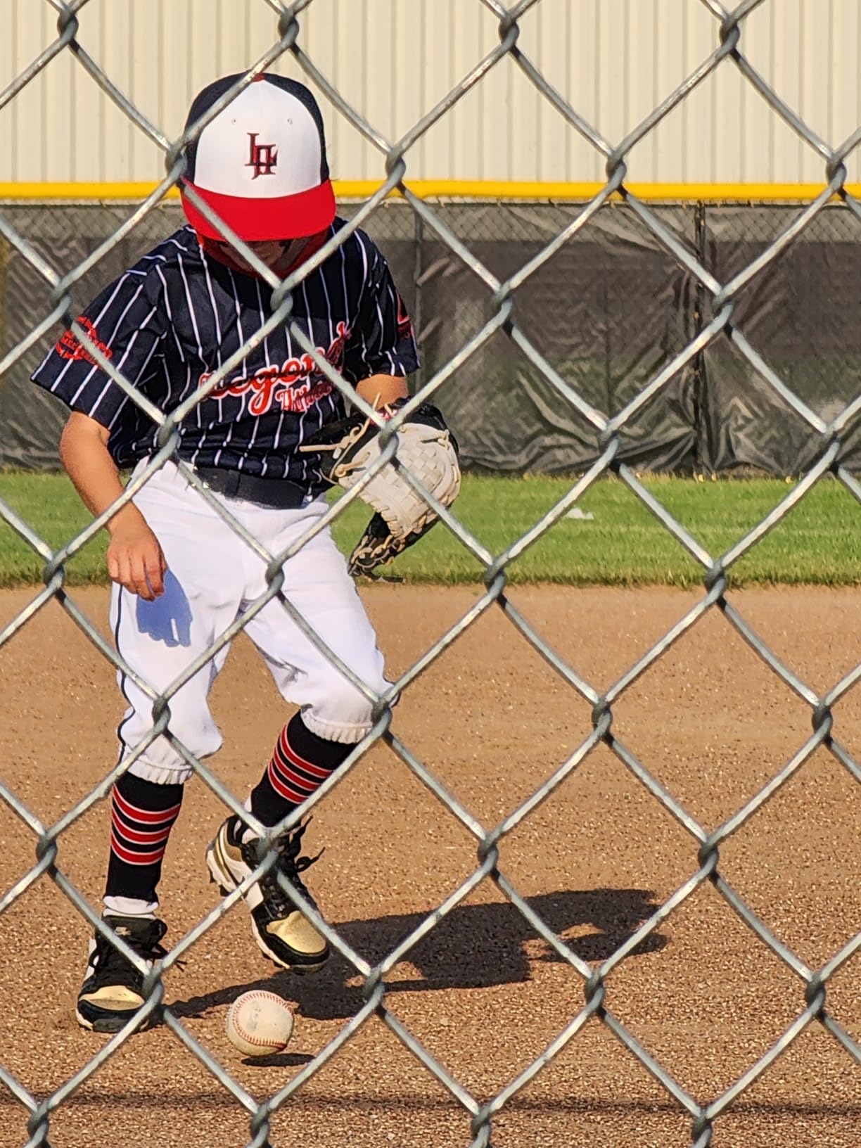 Rawlings | Sure Catch Baseball & Softball Glove | T-Ball, Youth & Adult Rec Models | Multiple Sizes & Styles customer photo 2