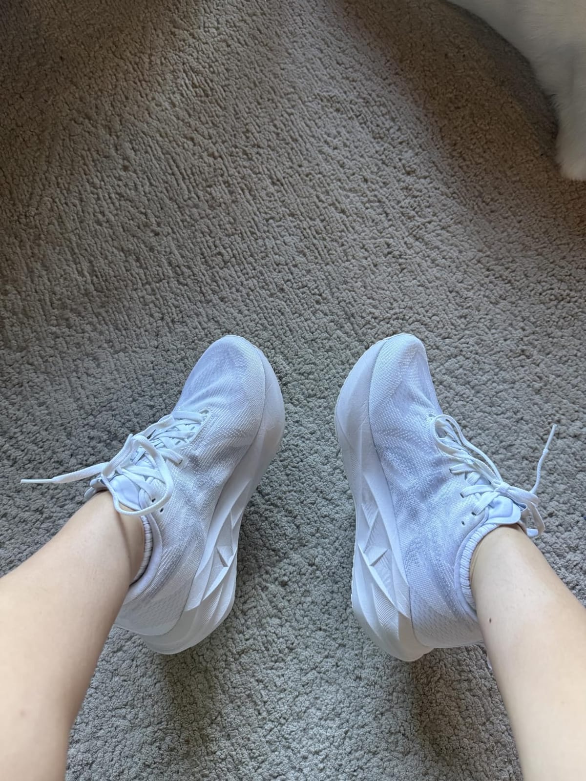 ASICS Women's NOVABLAST 5 TR Running Shoes customer photo 1