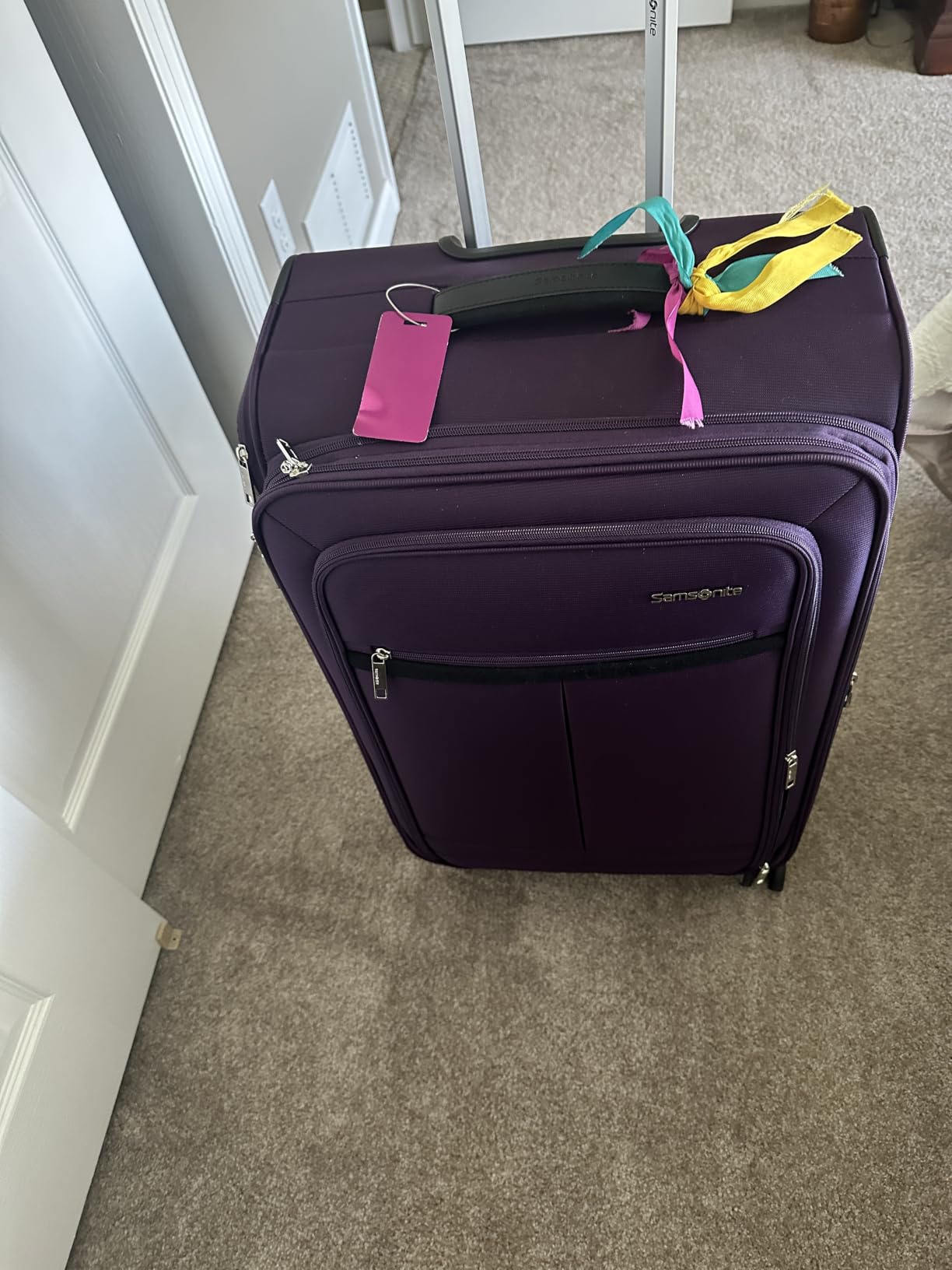 Samsonite Soft-Sided 25-Inch Lightweight Medium Checked Expandable Element Suitcase: Durable, 360° Spinner Wheels, Adjustable Telescopic Handle, 2 Front & 1 Side Pocket- Bistro Green customer photo 1